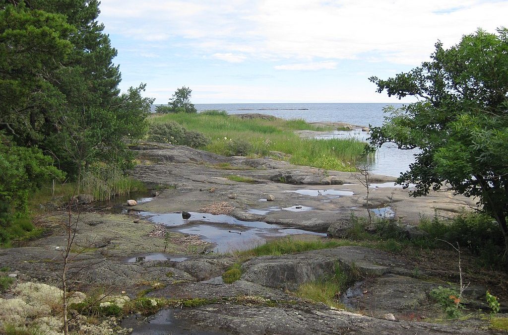 Hundbad vid Ängskär Havsbad