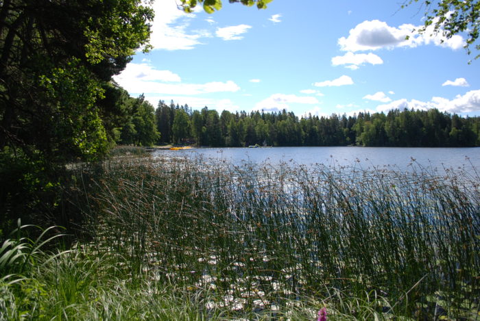 Fjällnorabadet bild på sjön med badet i bakgrunden